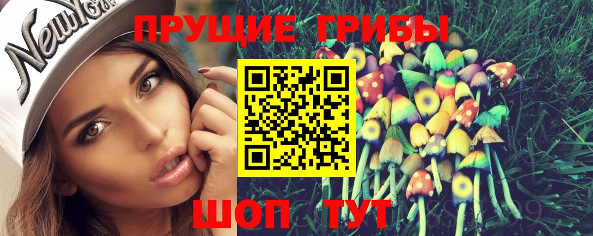 Псилоцибиновые грибы MAGIC MUSHROOMS  наркошоп  Тимашёвск  Псилоцибиновые грибы MAGIC MUSHROOMS  Вход с VPN 
