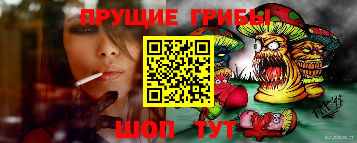 Псилоцибиновые грибы Psilocybine cubensis Тимашёвск